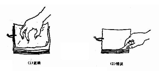 <em>女性阴精</em>