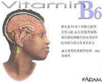 维生素B6对大脑的影响