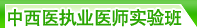 ����ҽ���ִҵҽʦʵ���