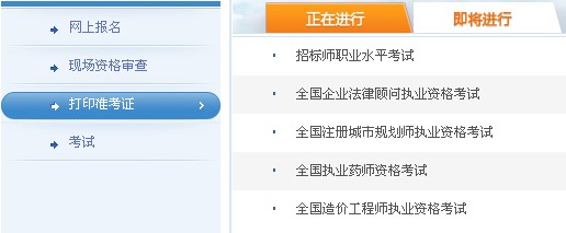 2013年黑龙江执业药师准考证打印入口