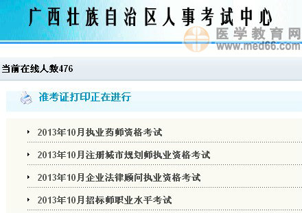 2013年广西自治区执业药师考试准考证打印入口