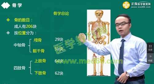 临床执业医师解剖学课程