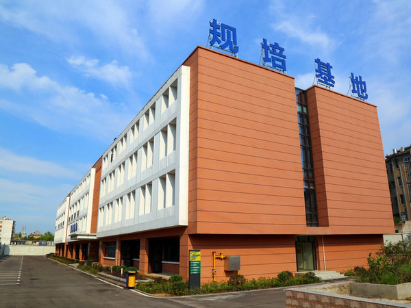2019年淮南市第一人民医院（安理大一附院）住培招生计划