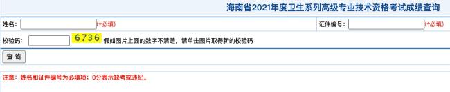 海南省2021年度卫生系列高级专业技术资格考试成绩查询
