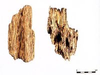 国产沉香 国产沉香