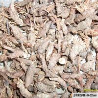 香附-药用 香附-药用