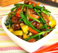 蚕蛹炒韭菜 蚕蛹炒韭菜