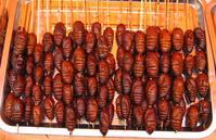 油炸蚕蛹 油炸蚕蛹