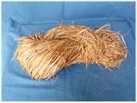 罗布麻原麻 罗布麻原麻