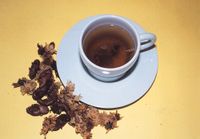 蝉蜕菊花茶 蝉蜕菊花茶