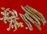 白鲜皮-鉴定 白鲜皮-鉴定