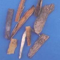 五加皮-中药材(图2) 五加皮-中药材(图2)