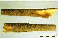 合欢皮-中药材 合欢皮-中药材