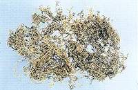 鹅不食草中药饮片 鹅不食草中药饮片