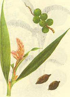 益智-形状 益智-形状