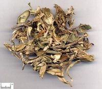 龙胆-中药饮片 龙胆-中药饮片