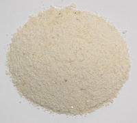 已经研磨的寒水石