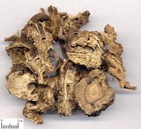 藁本 中药材饮片 藁本 中药材饮片