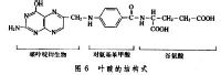 叶酸结构式
