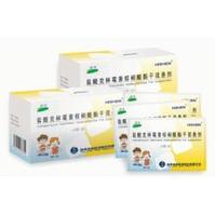 盐酸克林霉素棕榈酸酯干混悬剂