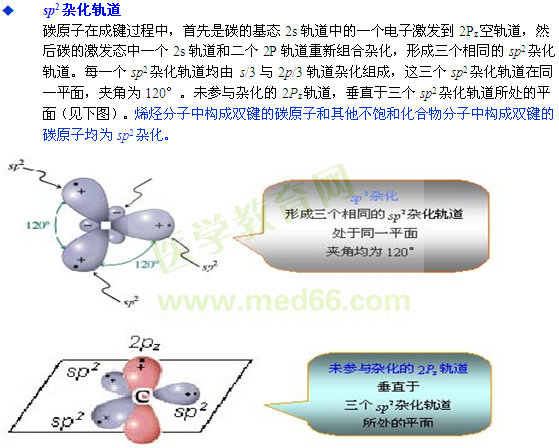 氮原子sp2杂化示意图图片