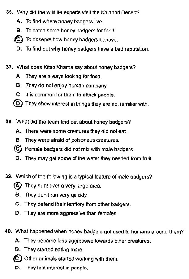 2013年职称英语真题及答案-综合类B级