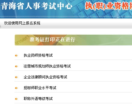 2013年青海执业药师准考证打印入口