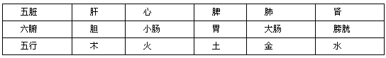 五脏六腑与五行的关系