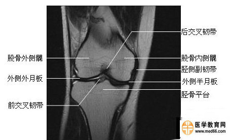 ϥ�ؽڹ�״��ͼ