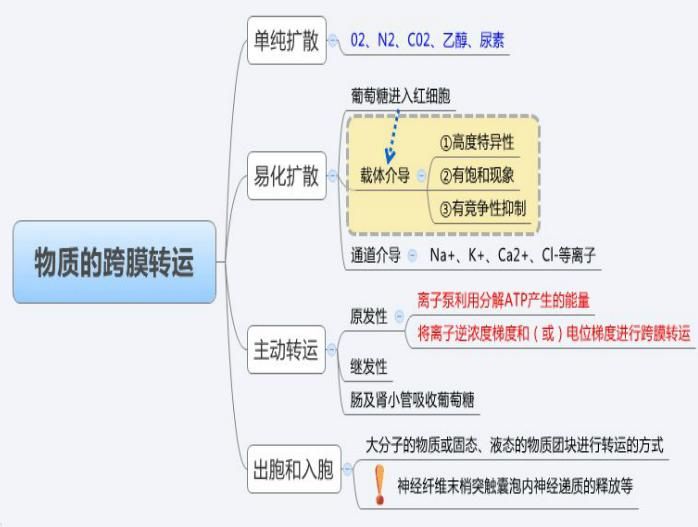 ��������ҽʦ���Ը���