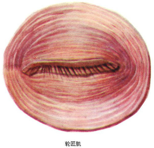 �ֽ���-�˶�ϵͳ