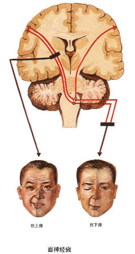 ����̱-��ϵͳ����ͼ