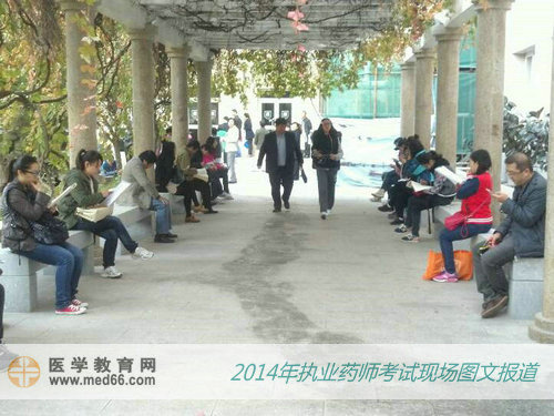 在文化长廊复习的执业药师考生