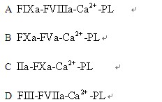 2015考研西医综合