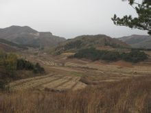 �й�ҽ���ٴ�ҽҩѧԺ��ϪУ��