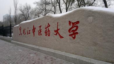 哈尔滨中医药大学图片