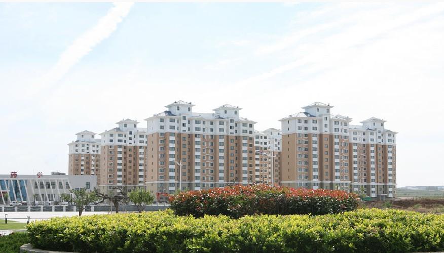 ɽ����ҽҩ�ߵ�ר��ѧУ����