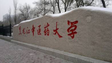 黑龙江中医药大学图片