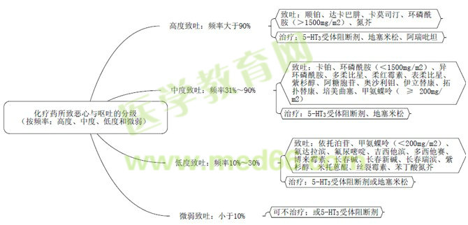 医学教育网原创