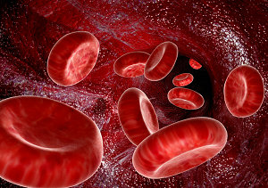 只有血液传播艾滋病吗？