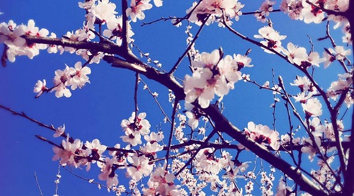 产后抑郁症的致病原因有哪些？应该如何预防产后抑郁症？