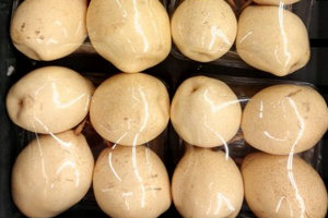 内伤咳嗽的中医辨证论治与预防方法