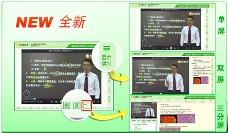 单/双/三分屏模式