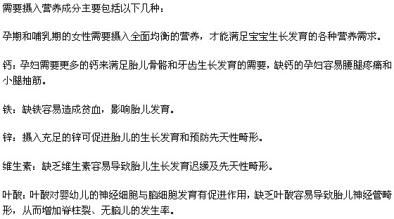 女人在怀孕期间需要摄入哪些营养成分