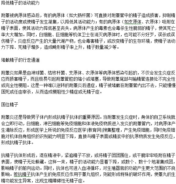 男性精子质量与附睾炎有关吗