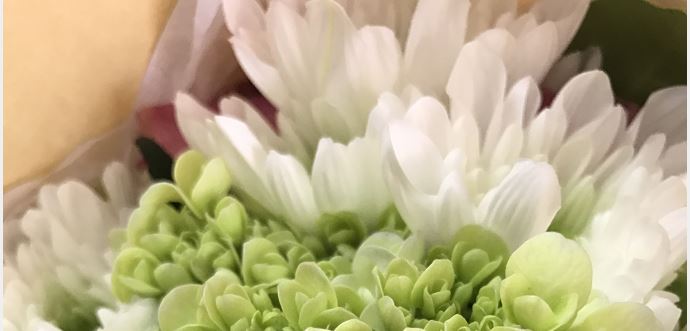 骨性关节炎的三种常见的临床表现特征