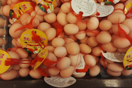 高血脂给我们带来的三大危害