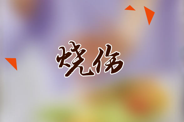 烧伤面积和烧伤深度的估计