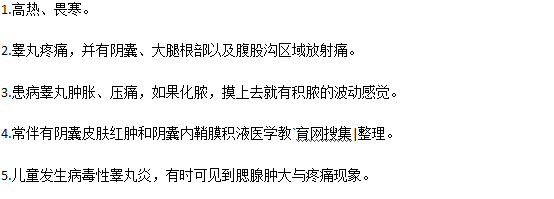 睾丸炎常见的临床表现