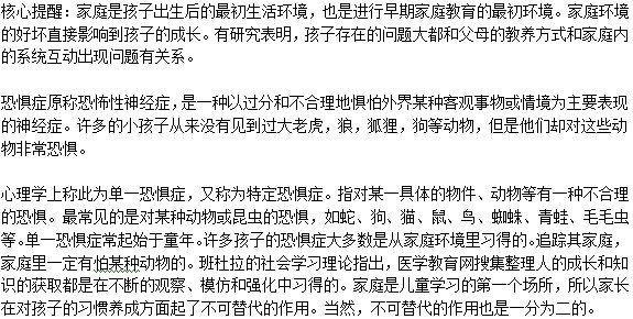父母的教育与成长环境是否会导致孩子患有恐惧症